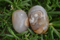 Polished Ocean Flower Agate Galet / Palm Stones x 12 From Madagascar