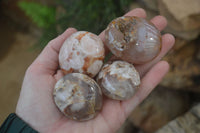 Polished Ocean Flower Agate Galet / Palm Stones x 12 From Madagascar