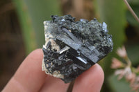 Natural Aegirine With Black Schorl Specimens x 12 From Zomba, Malawi