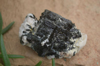 Natural Aegirine With Black Schorl Specimens x 12 From Zomba, Malawi