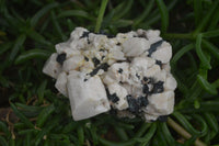 Natural Aegirine With Black Schorl Specimens x 12 From Zomba, Malawi