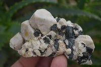 Natural Aegirine With Black Schorl Specimens x 12 From Zomba, Malawi