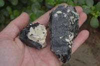 Natural Aegirine With Black Schorl Specimens x 12 From Zomba, Malawi