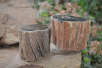 Polished Petrified Wood Branch Pieces x 4 From Gokwe, Zimbabwe