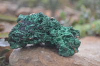 Natural Silky Malachite Specimens x 4 From Kasompe, Congo