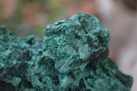 Natural Silky Malachite Specimens x 4 From Kasompe, Congo