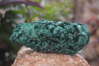 Natural Silky Malachite Specimens x 4 From Kasompe, Congo