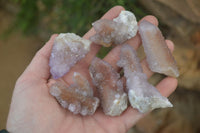 Natural Amethyst / Ametrine Spirit Quartz Clusters x 24 From Boekenhouthoek, South Africa