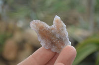 Natural Amethyst / Ametrine Spirit Quartz Clusters x 24 From Boekenhouthoek, South Africa