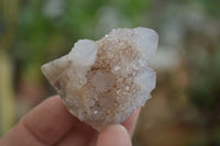 Natural Amethyst / Ametrine Spirit Quartz Clusters x 24 From Boekenhouthoek, South Africa