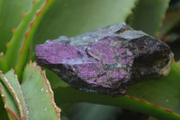 Natural Metallic Purpurite Cobbed Specimens x 6 From Namibia