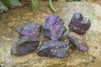 Natural Metallic Purpurite Cobbed Specimens x 6 From Namibia