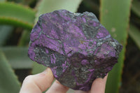 Natural Metallic Purpurite Cobbed Specimens x 6 From Namibia