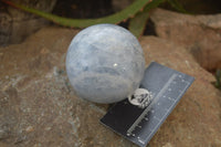 Polished Blue Calcite Spheres x 2 From Madagascar