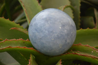 Polished Blue Calcite Spheres x 2 From Madagascar