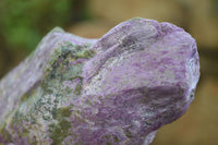 Natural Stichtite & Serpentine Specimens x 5 From Barberton, South Africa