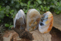 Polished Dendritic Agate Standing Free Forms x 6 From Madagascar