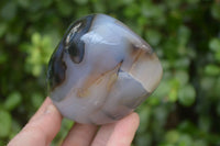 Polished Dendritic Agate Standing Free Forms x 6 From Madagascar