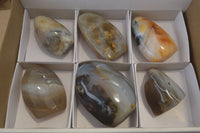 Polished Dendritic Agate Standing Free Forms x 6 From Madagascar