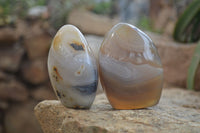 Polished Dendritic Agate Standing Free Forms x 6 From Madagascar