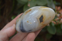 Polished Dendritic Agate Standing Free Forms x 6 From Madagascar