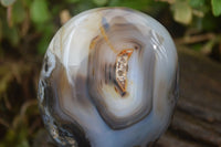 Polished Dendritic Agate Standing Free Forms x 6 From Madagascar