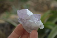 Natural Jacaranda Amethyst Crystals x 35 From Zambia