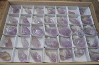 Natural Jacaranda Amethyst Crystals x 35 From Zambia