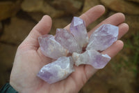 Natural Jacaranda Amethyst Crystals x 35 From Zambia