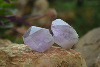 Natural Jacaranda Amethyst Crystals x 35 From Zambia