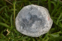 Natural Celestite Specimens x 6 From Sakoany, Madagascar