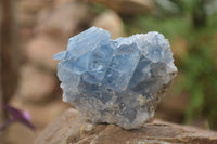 Natural Celestite Specimens x 6 From Sakoany, Madagascar