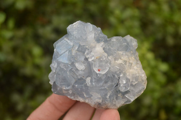 Natural Celestite Specimens x 6 From Sakoany, Madagascar