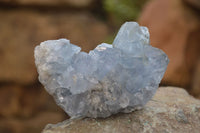 Natural Celestite Specimens x 6 From Sakoany, Madagascar