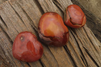 Polished Polychrome Jasper Hearts x 5 From Madagascar