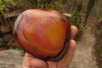 Polished Polychrome Jasper Hearts x 5 From Madagascar