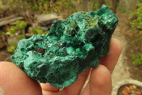 Natural Silky Malachite Specimens x 12 From Kasompe, Congo