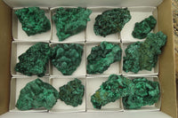 Natural Silky Malachite Specimens x 12 From Kasompe, Congo