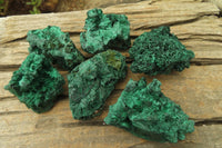 Natural Silky Malachite Specimens x 12 From Kasompe, Congo