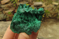 Natural Silky Malachite Specimens x 12 From Kasompe, Congo