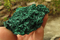 Natural Silky Malachite Specimens x 12 From Kasompe, Congo