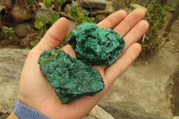 Natural Silky Malachite Specimens x 12 From Kasompe, Congo