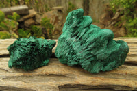 Natural Silky Malachite Specimens x 12 From Kasompe, Congo