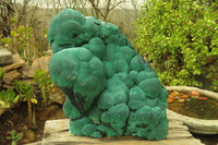 Natural Botryoidal Malachite Specimen x 1 From Kolwezi, Congo