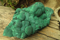 Natural Botryoidal Malachite Specimen x 1 From Kolwezi, Congo