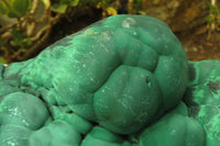 Natural Botryoidal Malachite Specimen x 1 From Kolwezi, Congo