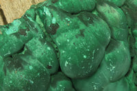 Natural Botryoidal Malachite Specimen x 1 From Kolwezi, Congo