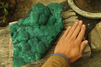 Natural Botryoidal Malachite Specimen x 1 From Kolwezi, Congo