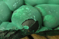 Natural Botryoidal Malachite Specimen x 1 From Kolwezi, Congo