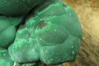 Natural Botryoidal Malachite Specimen x 1 From Kolwezi, Congo